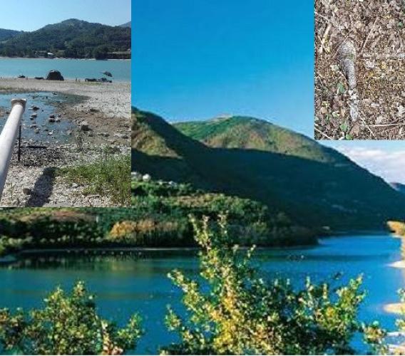 Allarme incuria e abbandono al Lago di Caccamo, "Necessario un incontro con i sindaci e con le autorità"