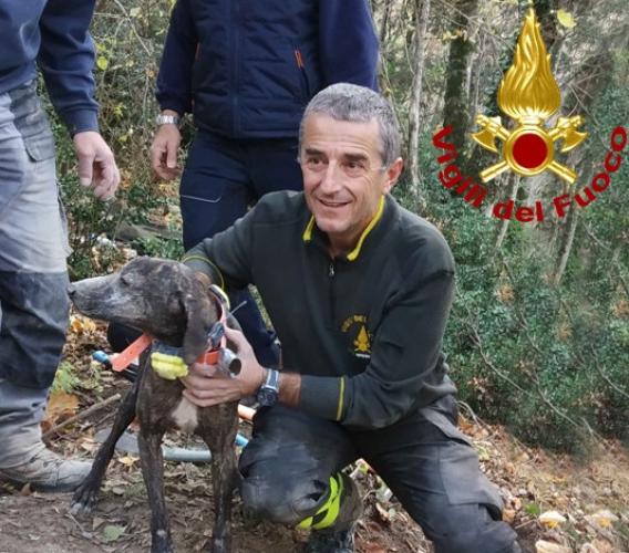 Esanatoglia, i vigili del fuoco salvano un cane rimasto intrappolato in una buca