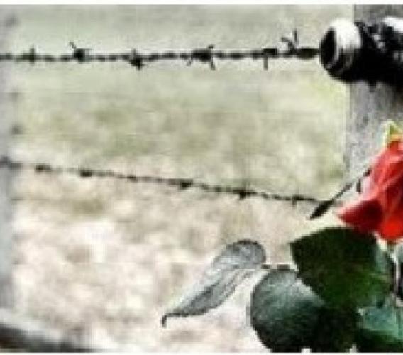 Giorno della Memoria e del Ricordo: il ricco programma di iniziative nel Maceratese