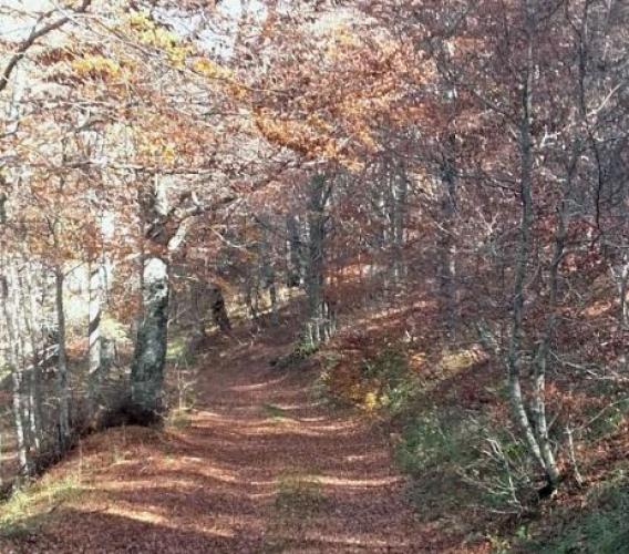 Puliamo il Mondo-speciale Appennino: da Muccia a Visso, 160 studenti andranno a caccia di rifiuti