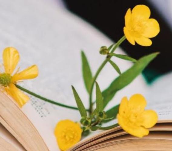 Ripe San Ginesio è una “Città che legge”: al via una maratona di lettura per festeggiare il titolo