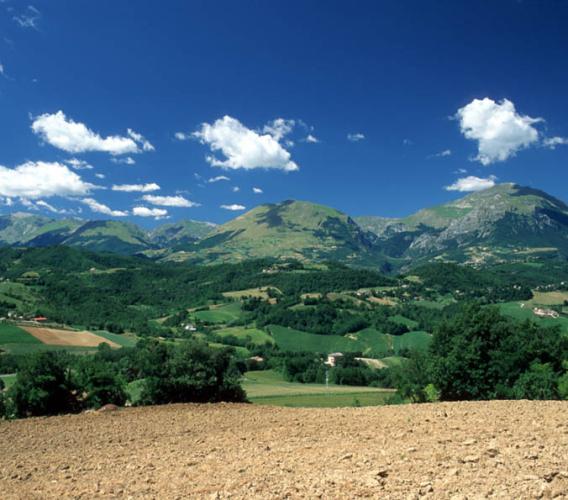 Parco dei Monti Sibillini, emanati due bandi a sostegno degli agricoltori: scadenza il 6 ottobre