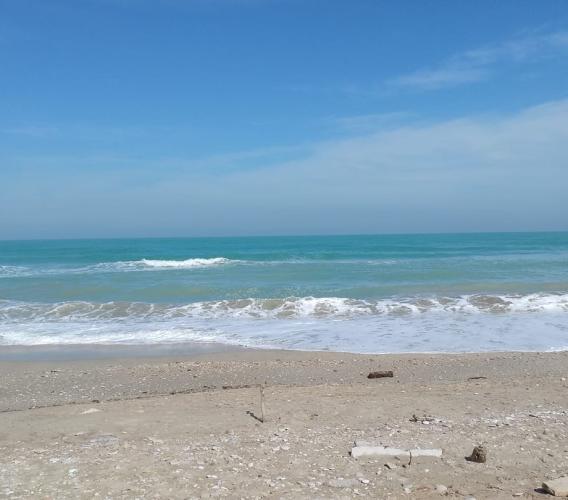 Si celebra la Giornata del Mare: sulla app della Guardia Costiera arriva la funzione 'avvistamenti'