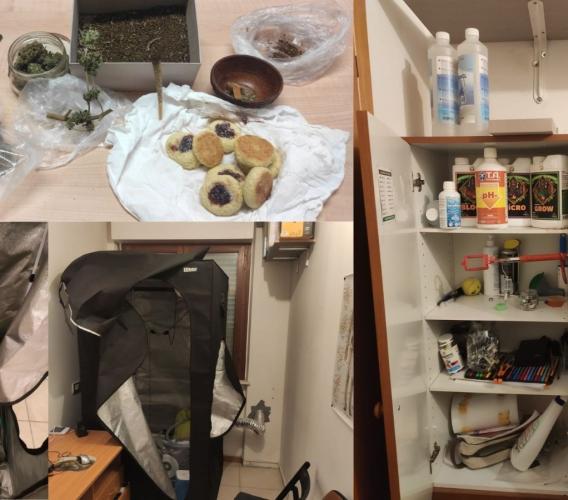 Arrestato rider della marijuana nell'entroterra maceratese: scoperta anche una serra in casa