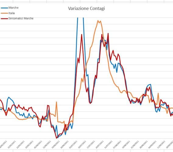 Contagi in calo del 34% nelle Marche: l'andamento del virus nei grafici dell'ingegner Petro