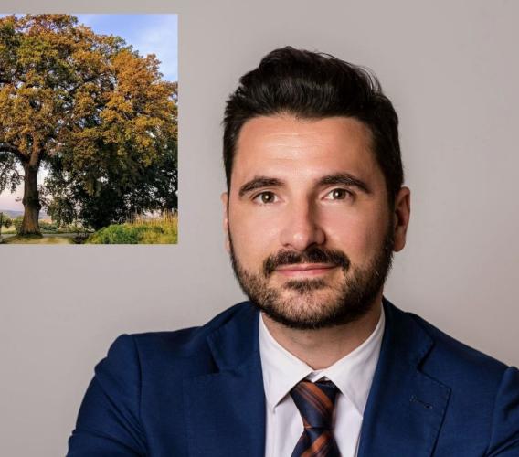 Cinque querce di Cingoli riconosciute alberi monumentali: "Nel 2022 tour per ammirarle"