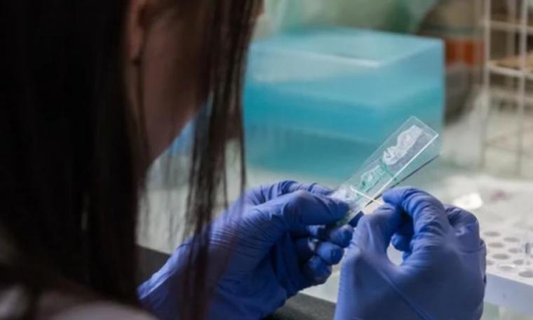 Coronavirus Marche: su 745 tamponi effettuati nelle ultime 24 ore, sono 141 i nuovi casi positivi